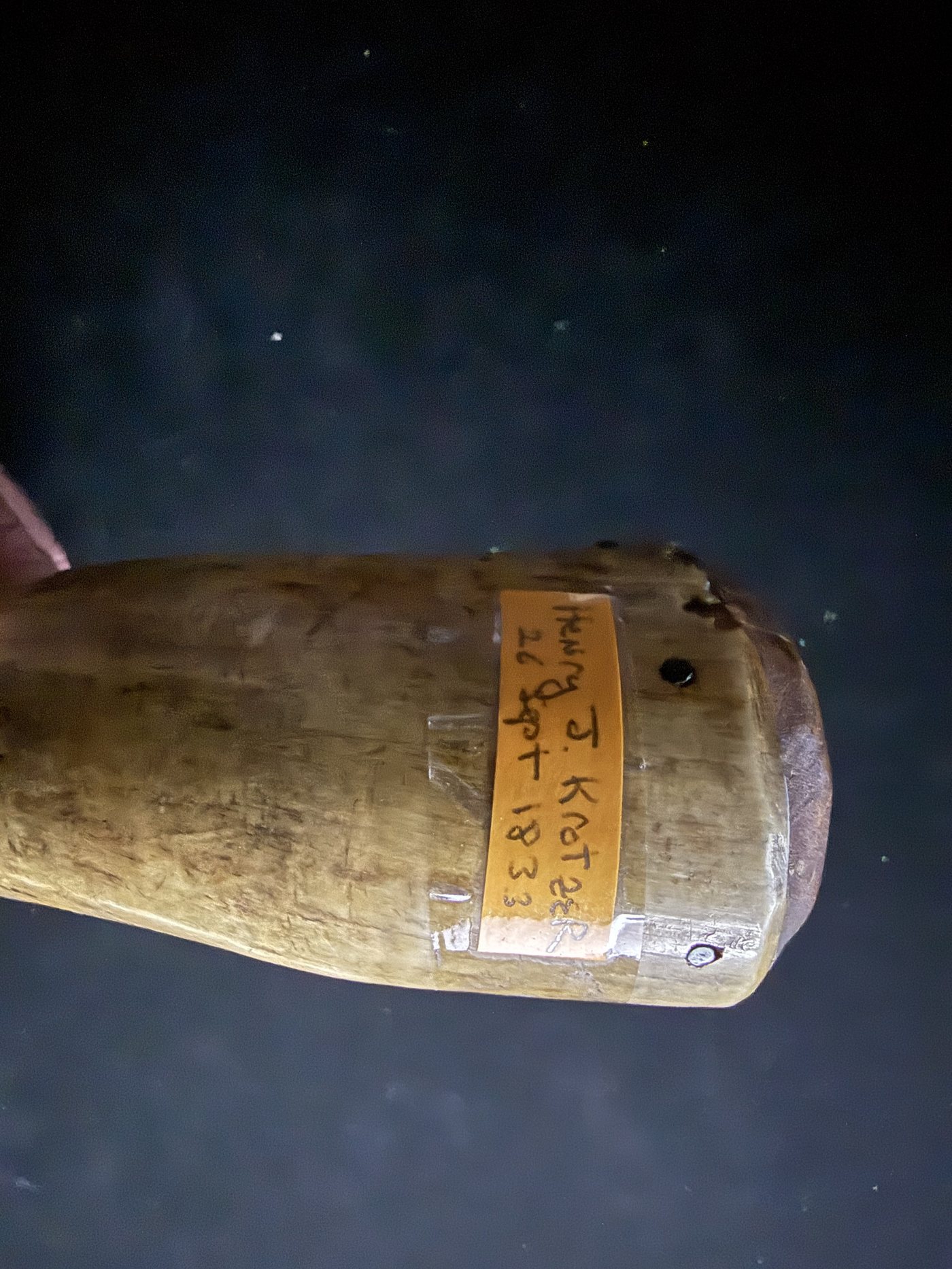Close-up of the hand-lettered tag reading Henry J. Krotzer, 26 Sept 1833