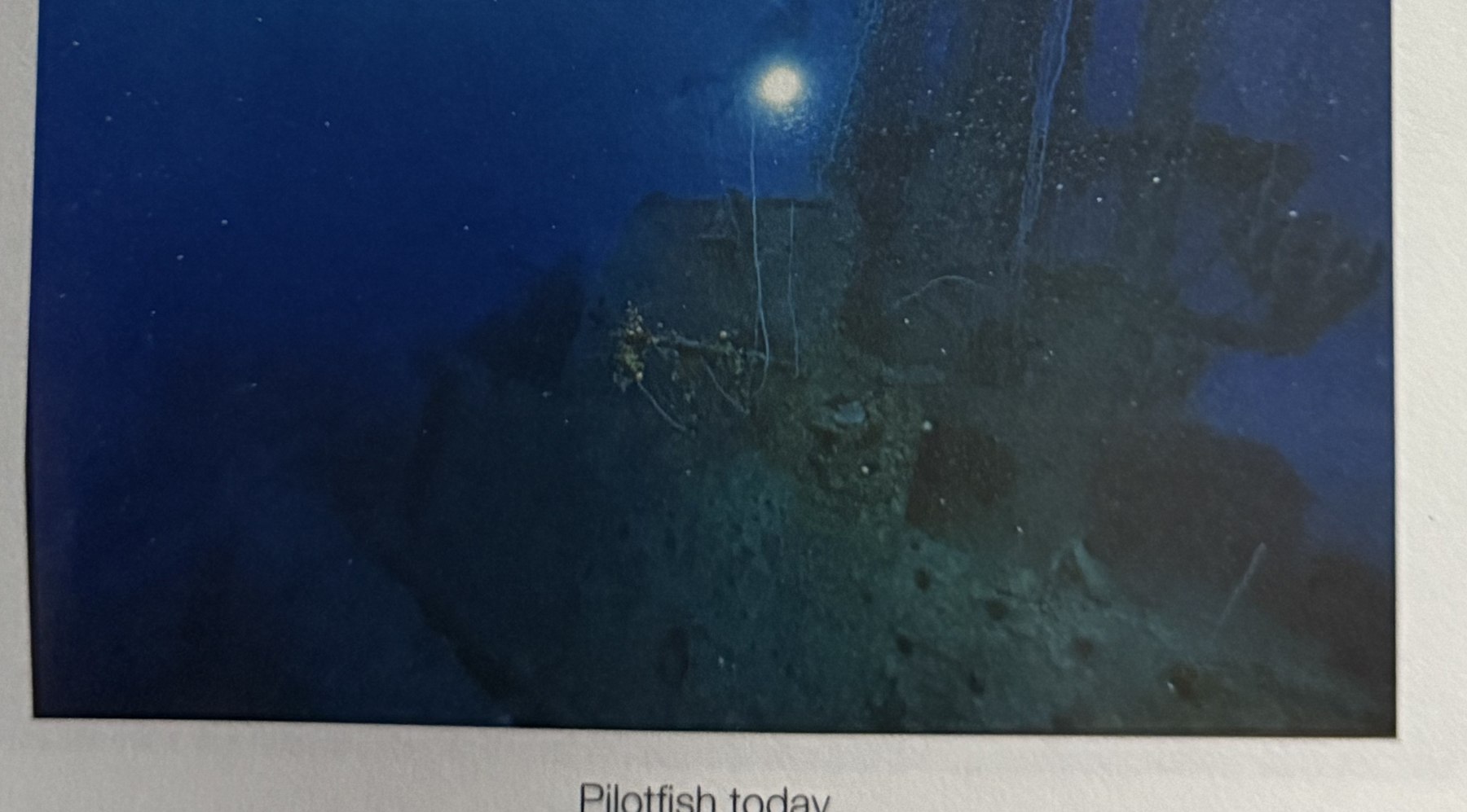 The wreck of USS Pilotfish, photographed underwater