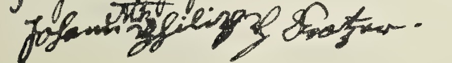 Johann Philipp Kratzer&rsquo;s handwritten signature in German script, 1737